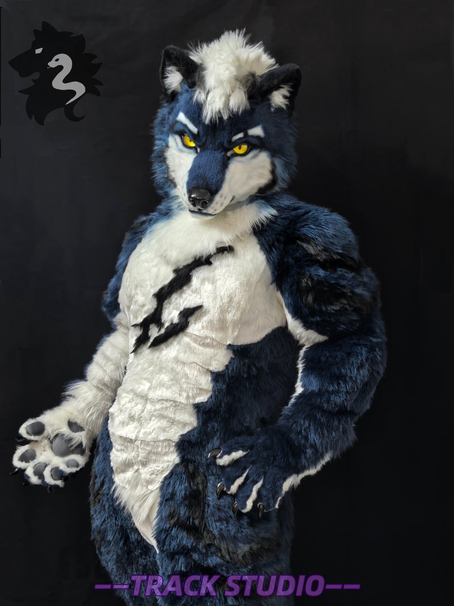 帅狼！
制作者：me
拥有者：<a href="/heijiaomolang/">黑胶魔狼.RiR</a> 

#furry #fursuit #fursuitmaker #FursuitEverday #fursuiter