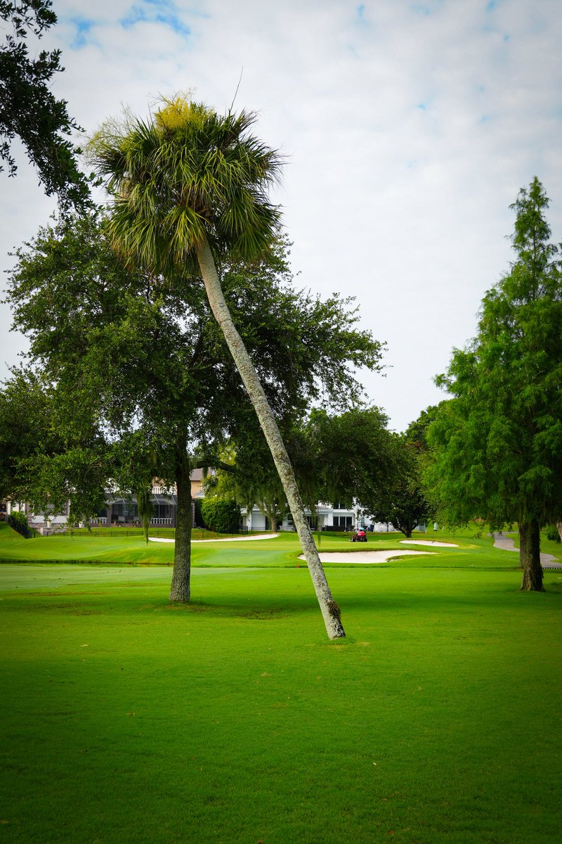 APBayHill's tweet image. July just hits different around here. ☀️
Here’s to the best month of summer at the best place to spend it.
#BayHill