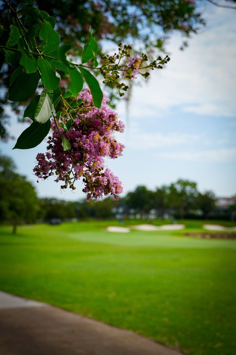 APBayHill's tweet image. July just hits different around here. ☀️
Here’s to the best month of summer at the best place to spend it.
#BayHill