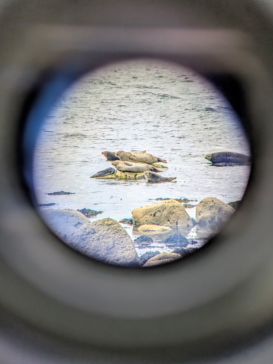 Just a care home girl tweet media