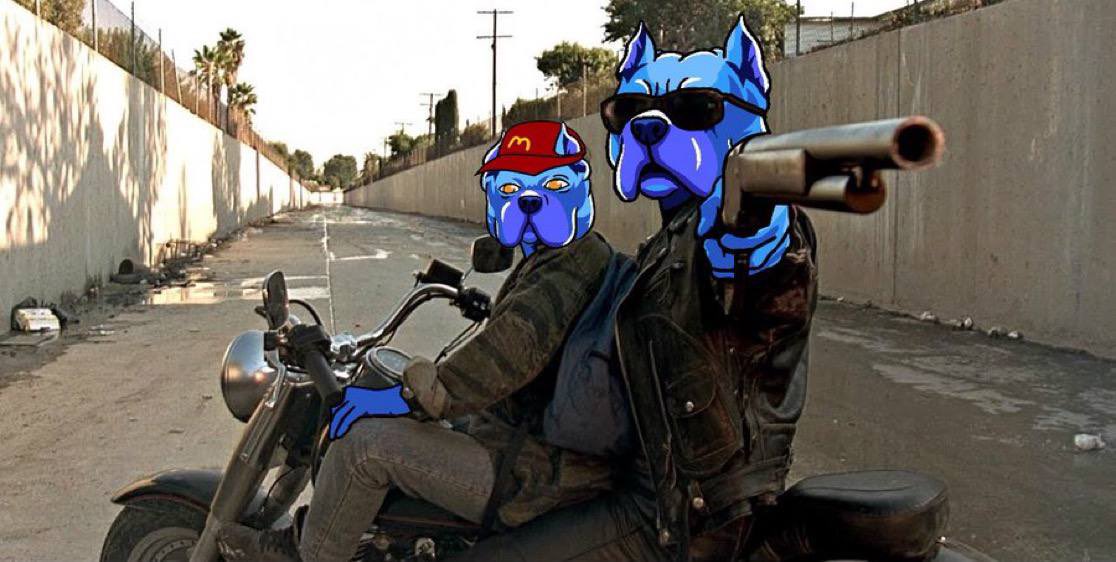 always ride with your dogs 

through thick and thin 
the dog stays in
as long as you never quit 
you will always win

doginme