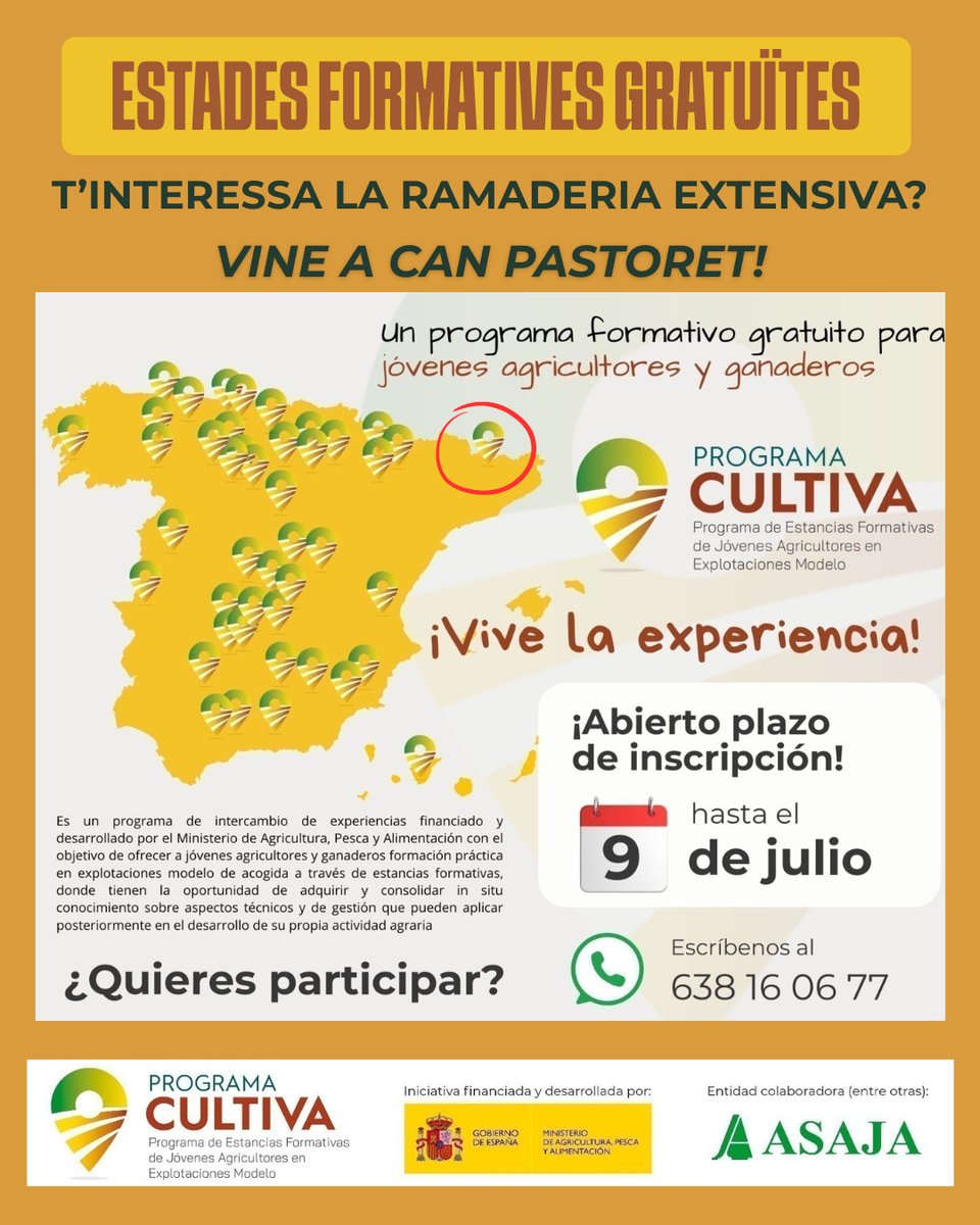 L'Espigall tweet media