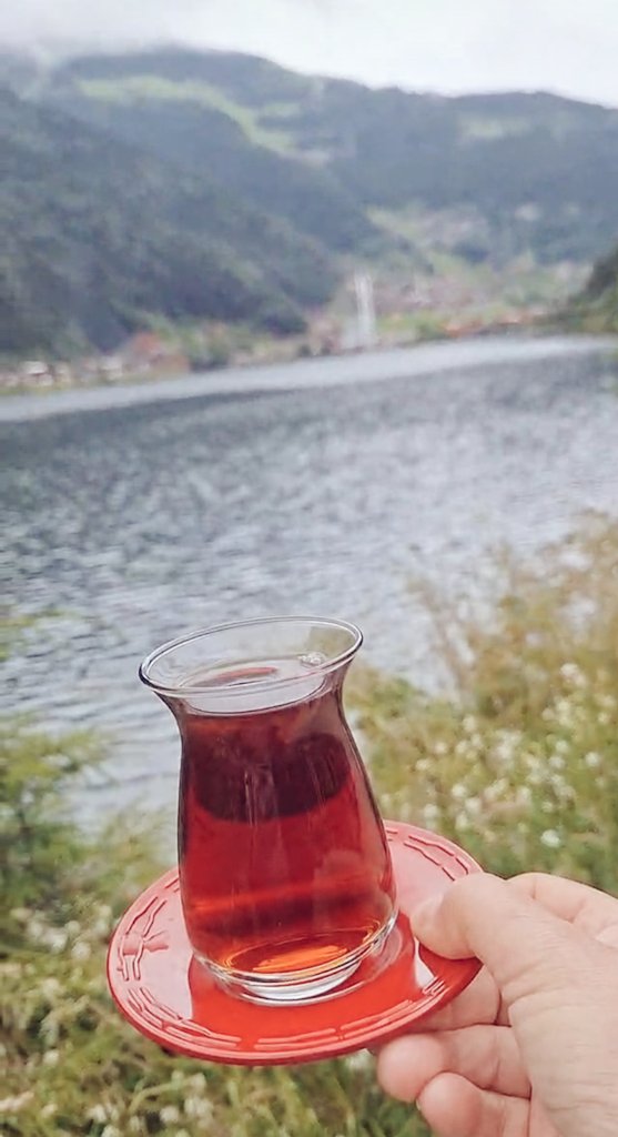 ... / ,
"Her zaman başlamak için
geç kaldığını düşüneceksin,
fakat kalan ömrünün en
genç yaşındasın."

   Mutlu huzurlu Akşamlar ☕ 🌿💙🌿
