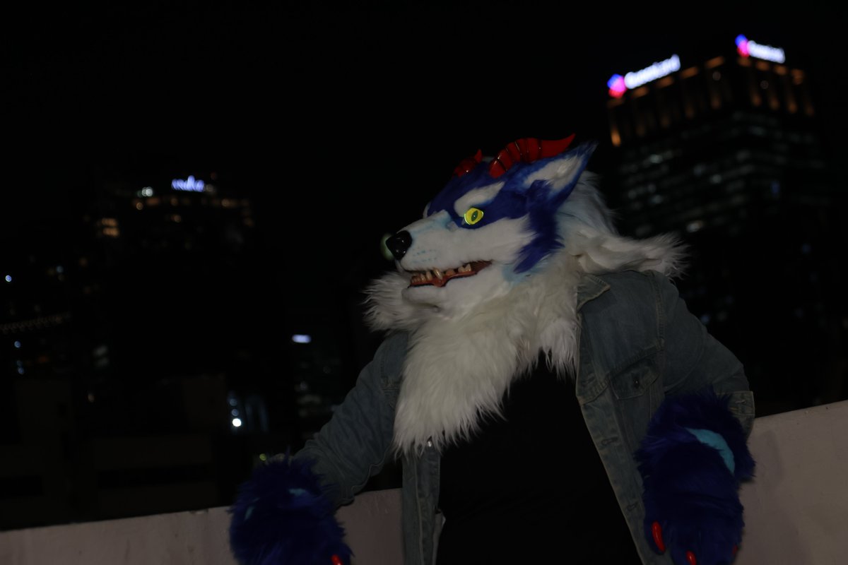 Oreo 🐏 🔜 LIFC 2025 (@oreolis_) on Twitter photo CITY ANIMALS VOL. 2: LY-CAN-ROCK
Starring Eg - I mean <a href="/Grieverez/">Grieverez 🐺 VeerZ⚡TF 🔜???</a>
Watch the full short film on YouTube: youtu.be/KYvq_qGRw2c
#fursuit #furry CITY ANIMALS VOL. 2: LY-CAN-ROCK
Starring Eg - I mean <a href="/Grieverez/">Grieverez 🐺 VeerZ⚡TF 🔜???</a>
Watch the full short film on YouTube: youtu.be/KYvq_qGRw2c
#fursuit #furry