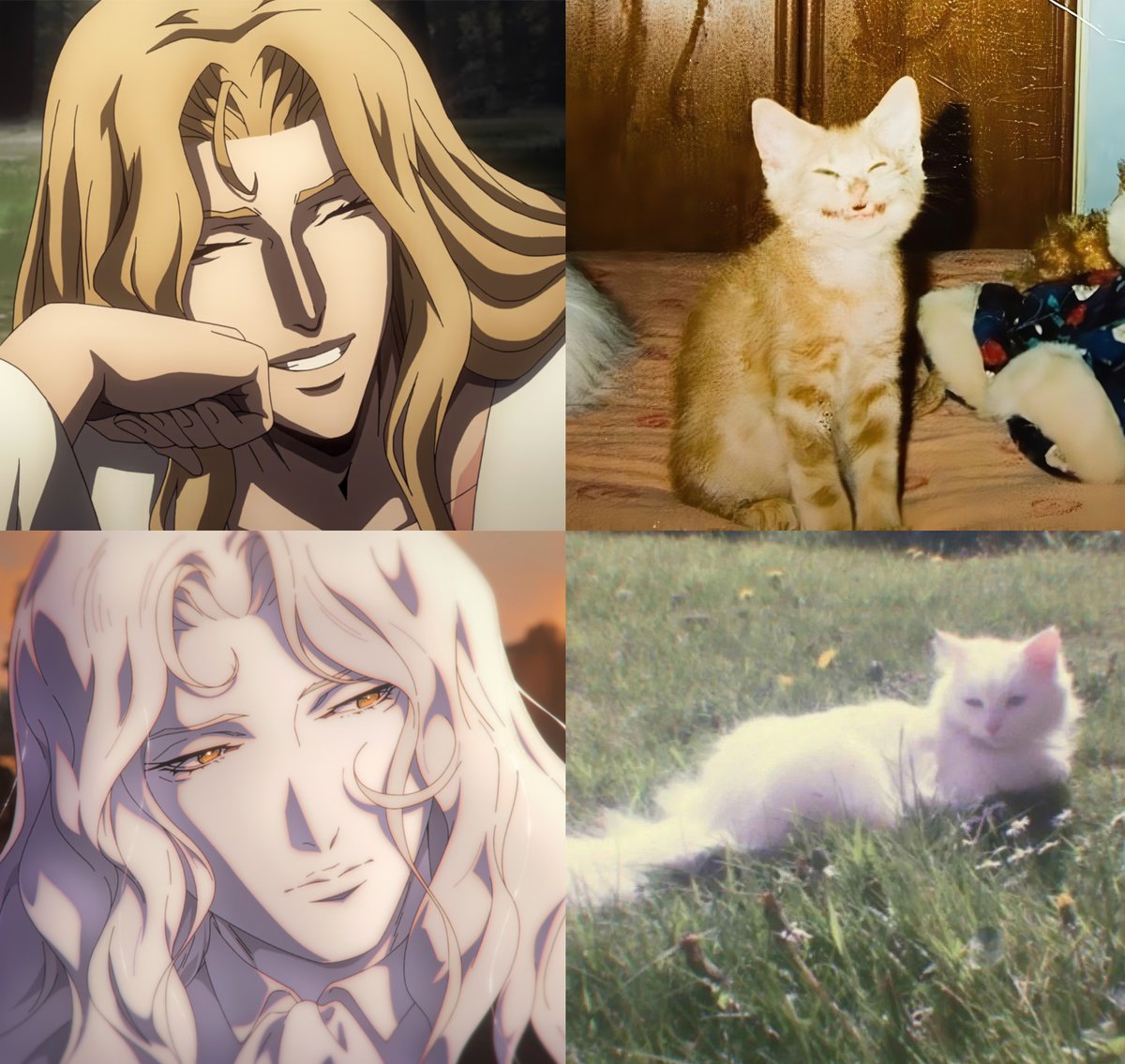 daily alucard ⚰️ (@alucarddaily) on Twitter photo 