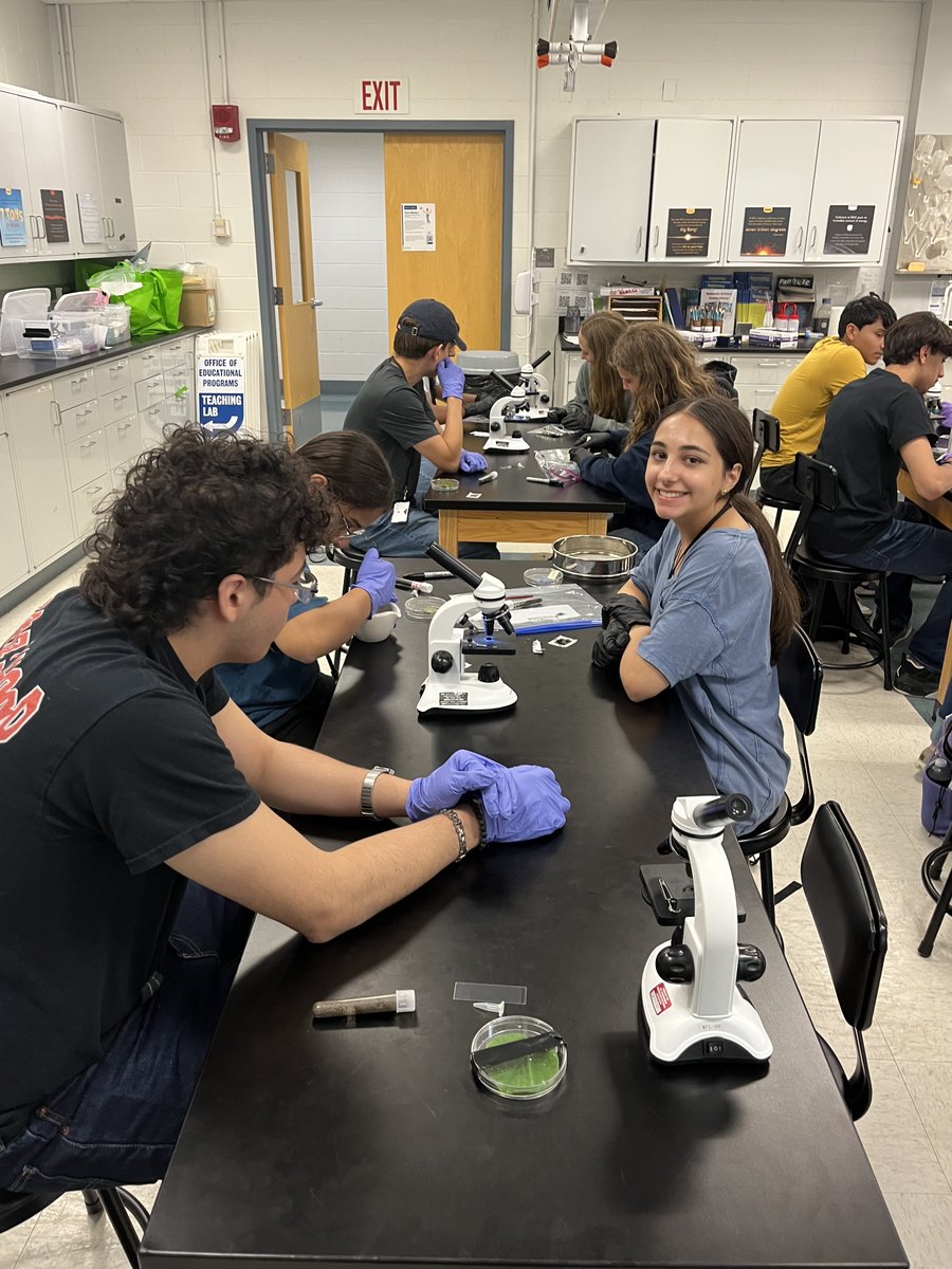 BHS Research tweet media