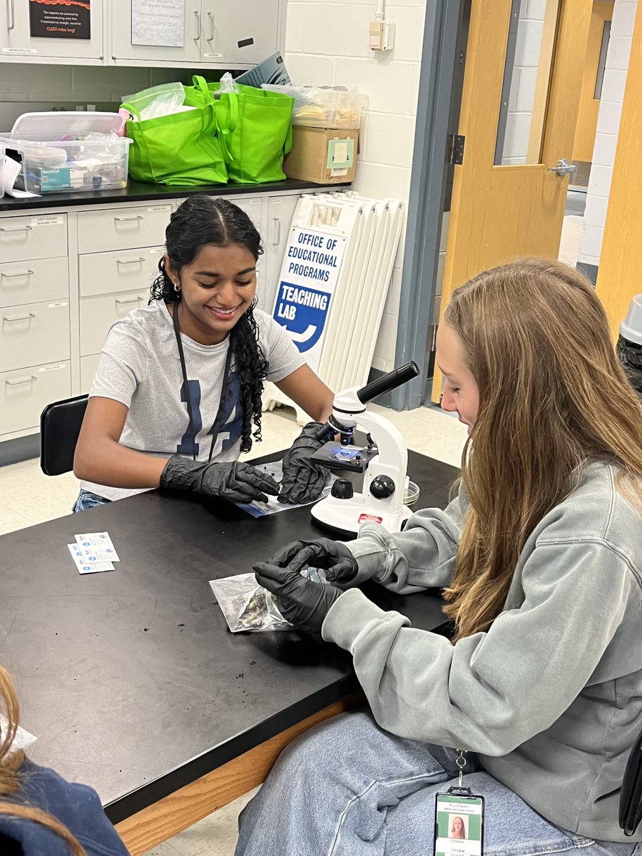 BHS Research tweet media