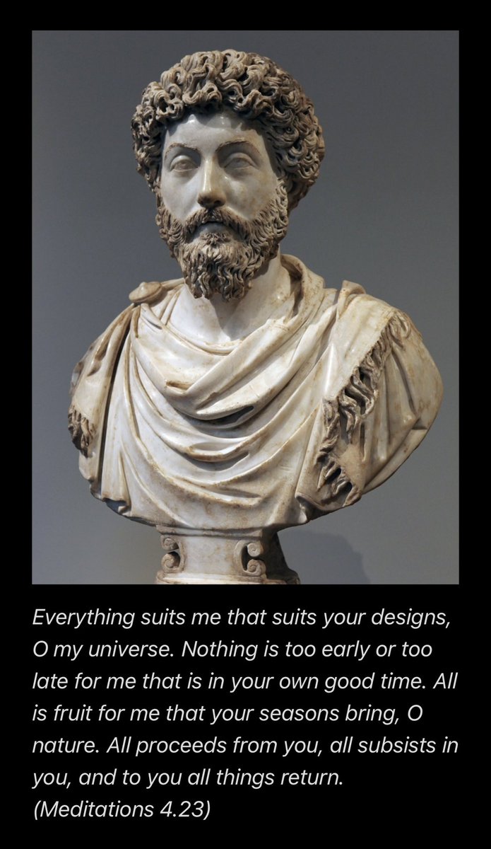 RandyWSullivan's tweet photo. Traditional Stoicism is a viable form of spirituality. Far more profound than the self help, like hacks that modern authors espouse. There’s is a watered down, stoic-lite version. #stoicism #dailystoic #amorfati #mementomori #philosophy #religion #pantheism https://t.co/N1LgLd56oG