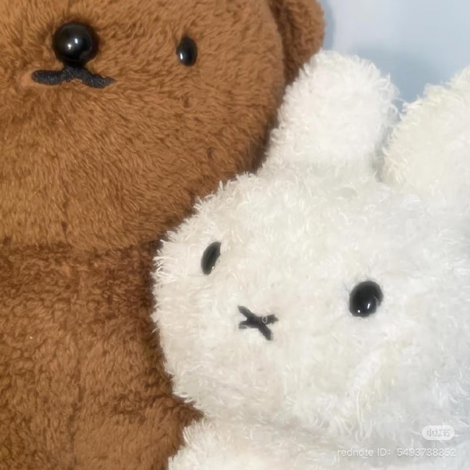 ₍ᐢ. .ᐢ₎ Ი︵𐑼

#YEJU #예주 #JOONIE #주니 
#miffy #nijntje