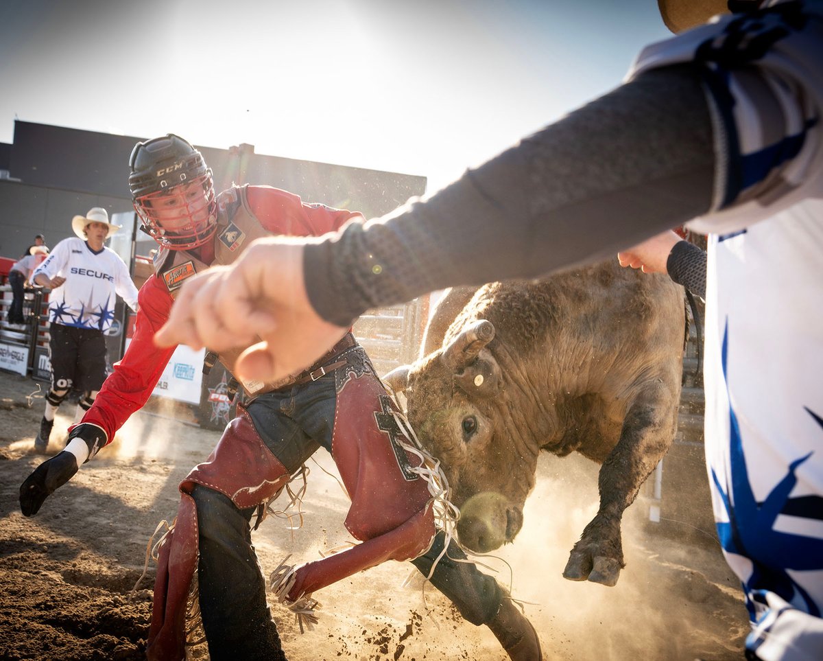 CODY SNYDER BULLBUSTIN’ tweet media