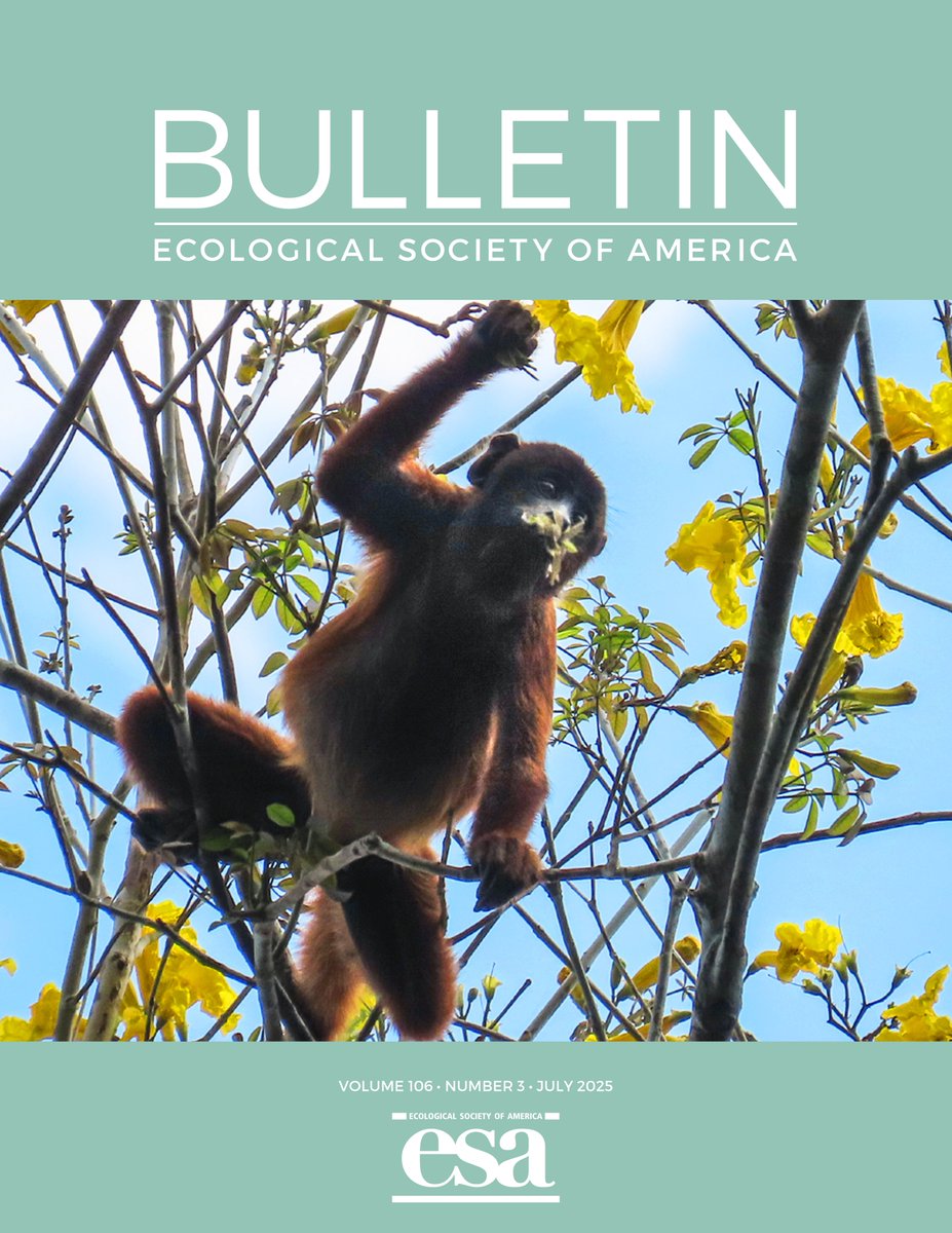 Take a taste of our July issue! Our cover monkey comes courtesy of <a href="/KL_Holzmann/">Kim Lea Holzmann</a>'s Photo Gallery submission, which documents her &amp; colleagues' study of mammal diversity in Peruvian old-growth forests

Find the Photo Gallery, and lots more, here: esajournals.onlinelibrary.wiley.com/toc/23276096/2…