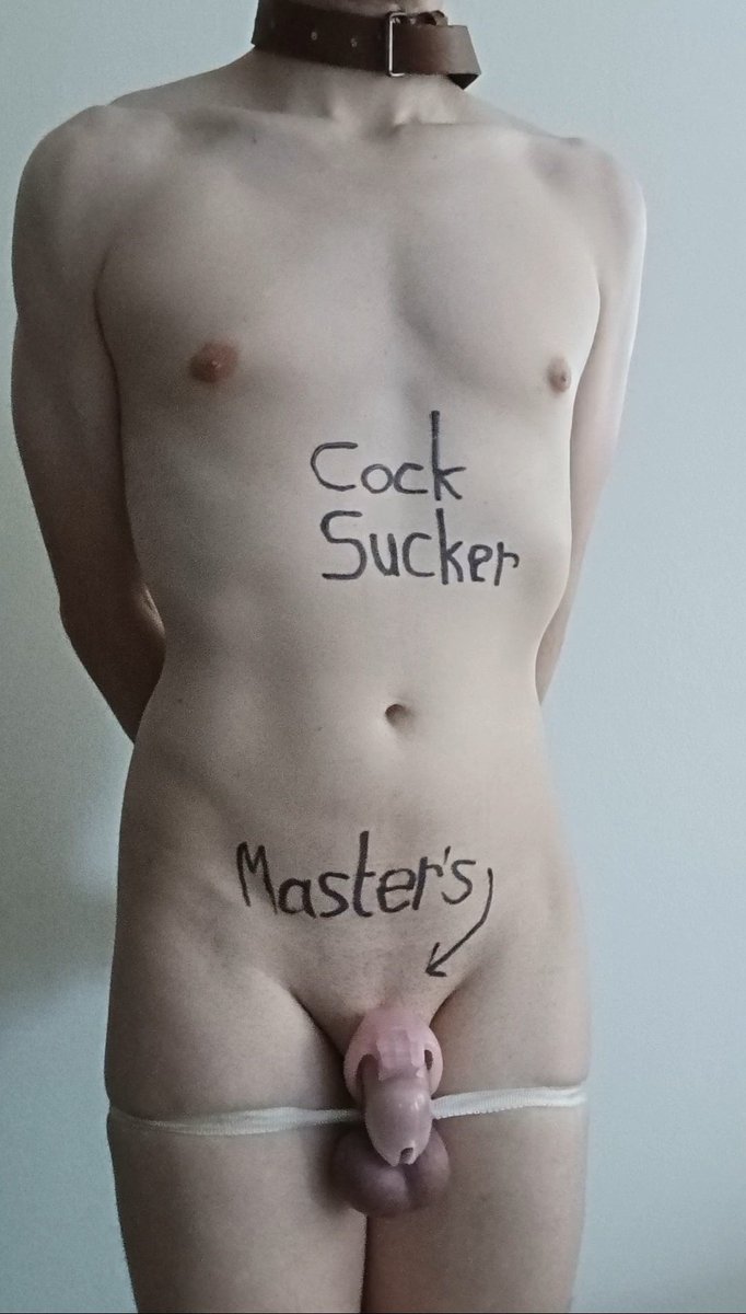 _underdogpup