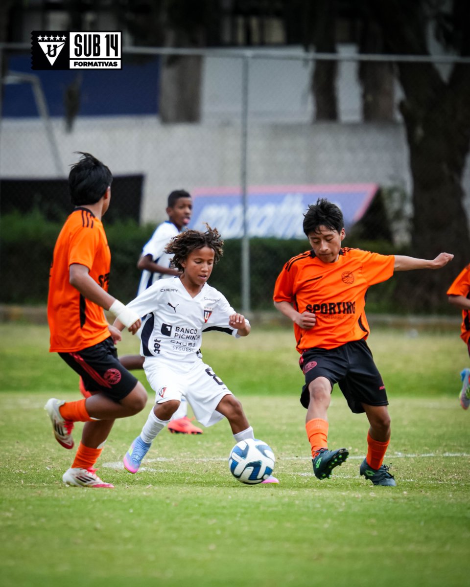 Formativas_LDU's tweet image. U14 | Primeras dos fechas del torneo AFNA ✅

1️⃣ Sangre de campeones vs. LIGA: 2x2
⚽ M. Rodríguez
2️⃣ LIGA vs. San Pablo Urco: 6x0
⚽ F. Cortes, E. Rodríguez, D. Rojas (3), D. Calle

¡A seguir demostrando, chicos! ¡VAMOS!

#U14 #AFNA