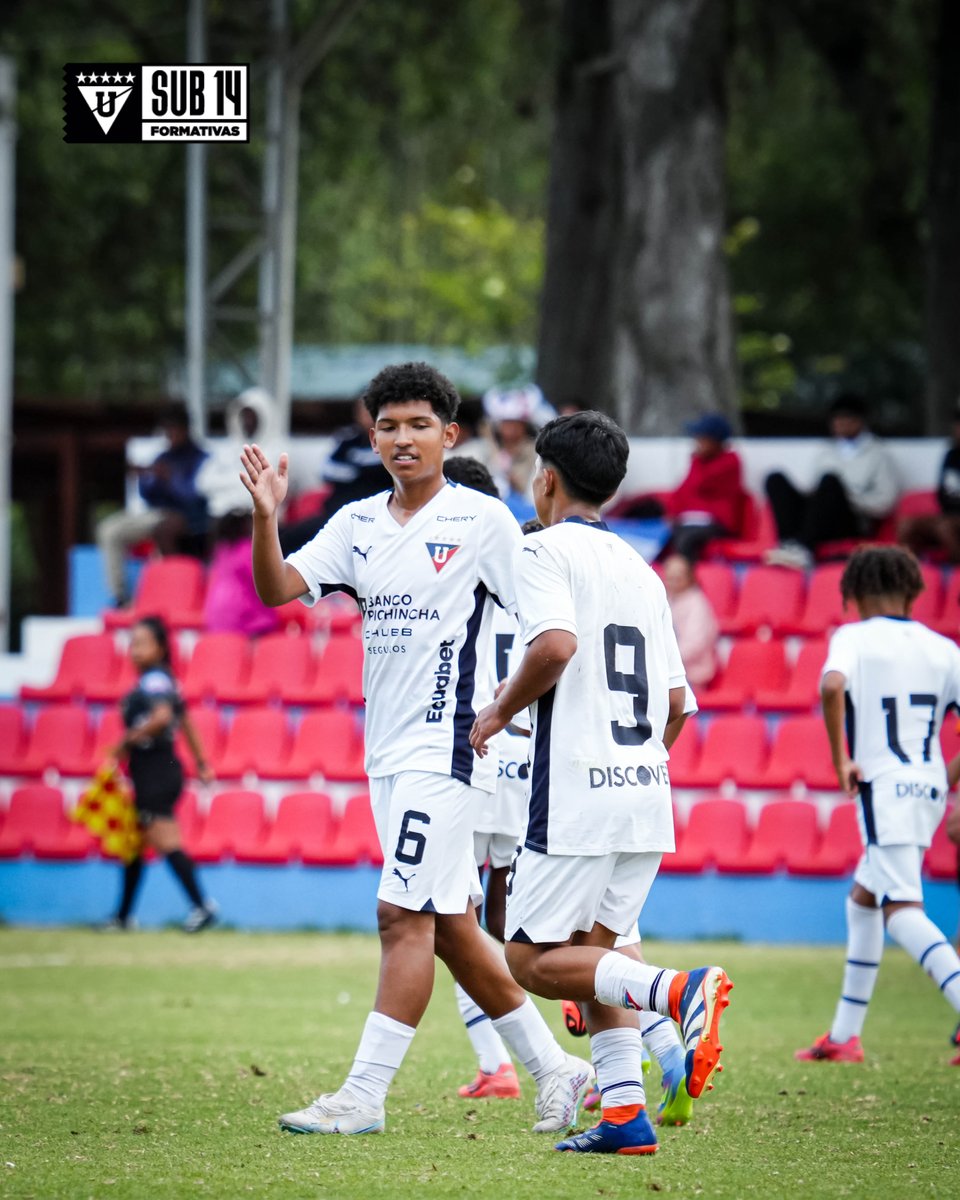 Formativas_LDU's tweet image. U14 | Primeras dos fechas del torneo AFNA ✅

1️⃣ Sangre de campeones vs. LIGA: 2x2
⚽ M. Rodríguez
2️⃣ LIGA vs. San Pablo Urco: 6x0
⚽ F. Cortes, E. Rodríguez, D. Rojas (3), D. Calle

¡A seguir demostrando, chicos! ¡VAMOS!

#U14 #AFNA