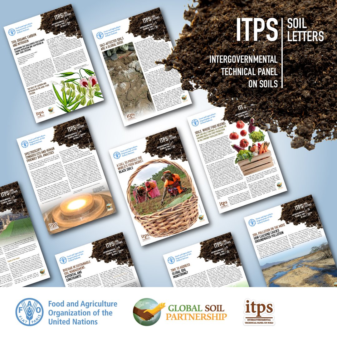 Soils feed us, store carbon, filter water &amp; support biodiversity.

Explore 10 #SoilLetters from #ITPS tackling 🌡️ climate, ☠️ pollution, 🚧 soil sealing, 🌾 fertility &amp; more.

Concise, clear &amp; science-based
Start here👇🏿
 fao.org/global-soil-pa…

#SoilHealth #GlobalSoilPartnership