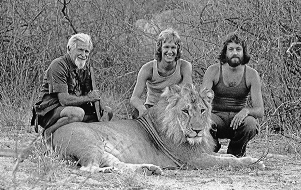 Alexalvz12's tweet photo. Su historia inspiró a millones.
Organizaciones de conservación.
Documentales.
Libros.

Gente que comprendió que un león no es un juguete.
Es un rey.
Y su reino es la sabana, no una casa. https://t.co/rtOo9rWSdq
