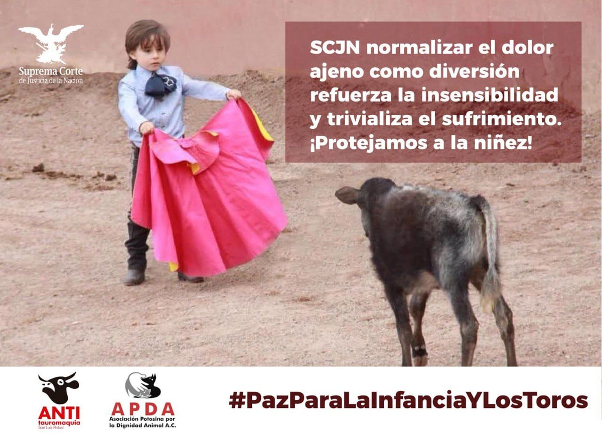 <a href="/SCJN/">Suprema Corte</a> <a href="/LeniaBatres/">Lenia Batres</a> #LaynezPotisek #PérezDayán #PazParaLaInfanciaYLosToros #SLP Pedimos amablemente su voto contra proyecto de <a href="/YasminEsquivel_/">Yasmín Esquivel Mossa</a>   <a href="/ONUMX/">ONU México</a> <a href="/CEC_SCJN/">Centro de Estudios Constitucionales</a> no perpetuar la violencia hacia los animales a través de los niños.