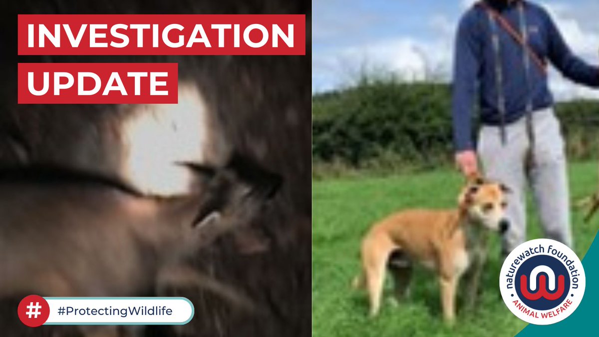 Naturewatch Foundation tweet media