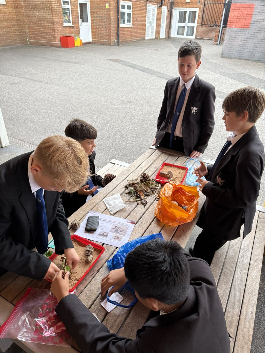 MsC_History's tweet photo. I took Year 7 outside today to build their own Buddhist Zen Gardens - they loved it! #Buddhism @shsrbk https://t.co/a1CHxEwT6Q