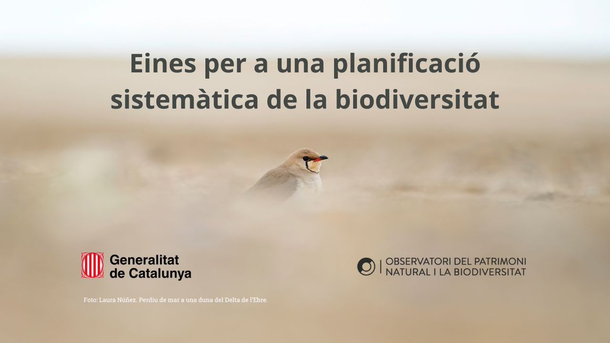 observatori_nat's tweet photo. Si et dediques a la planificació territorial, fas #recerca o treballes per conservar la #biodiversitat… tenim un vídeo per a tu! 
Fa unes setmanes vam presentar 3 eines per incorporar la biodiversitat a la planificació del territori.
👉 Descobreix-les: https://t.co/D0FBzC9I0f https://t.co/KDOLYvqONh