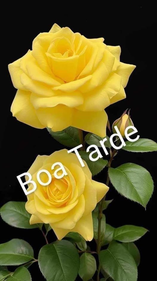 asemananews's tweet image. -Viva o que tem que ser #vivido sem medos...O medo #É um dos piores #inimigos do amor e da felicidade: -"Que diremos, pois, diante dessas coisas? Se Deus é por nós, quem será contra nós"??? (Rm 8:31)

#boatardequarta #DeusEstaNoControleDeTudo #SeDeusÉPorNós #QuemSeráContraNós