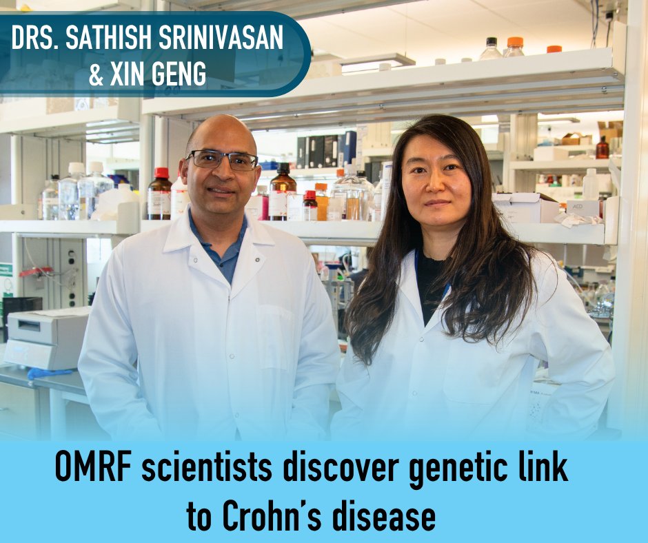 OMRF's tweet image. A serious digestive disease appears to be connected to lymphatic function, OMRF scientists Drs. Sathish Srinivasan & Xin Geng have determined.
Read more: omrf.org/2025/07/02/omr…