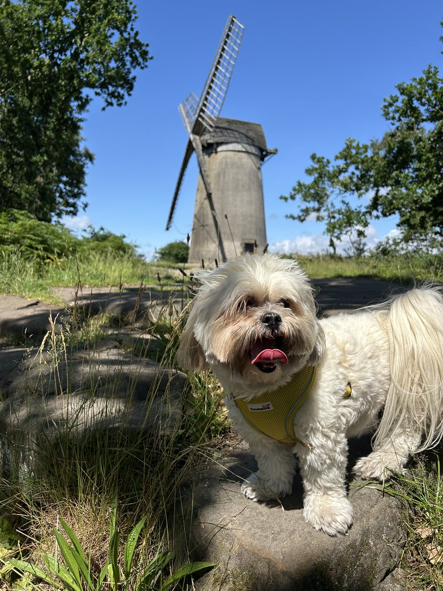 Went to Bidston Hill