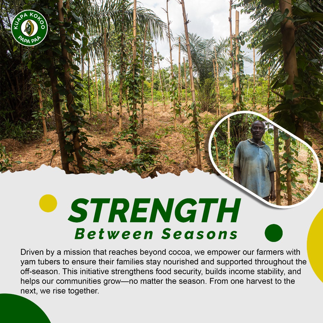 "The yams help us carry on. They feed our families and our future.” — Kuapa Kokoo
Support sustainable farming. Support Kuapa Kokoo.
kuapakokoo.com
#KuapaKokoo #YamFarming #FoodSecurity #CocoaAndBeyond #ResilientFarming