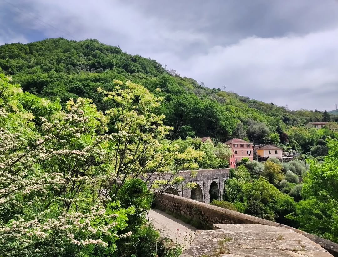 Un sentiero tra natura e storia, nel cuore di Genova.
A pochi passi dal centro, l’Acquedotto Storico ti accompagna lungo un percorso immerso nel verde, seguendo il tracciato che per secoli ha portato l’acqua in città.
visitgenoa.it/it/la-dellacqu…

📸 Via IG @laura.longoni.1971