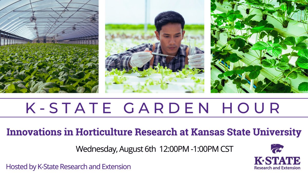 Join us in sharing recent and emerging horticultural research across the state and beyond. Join Dr. Cheryl Boyer, Professor and Extension Specialist, as she highlights research projects addressing horticultural specialty crops. Register at:  ksre-learn.com/KStateGardenHo…