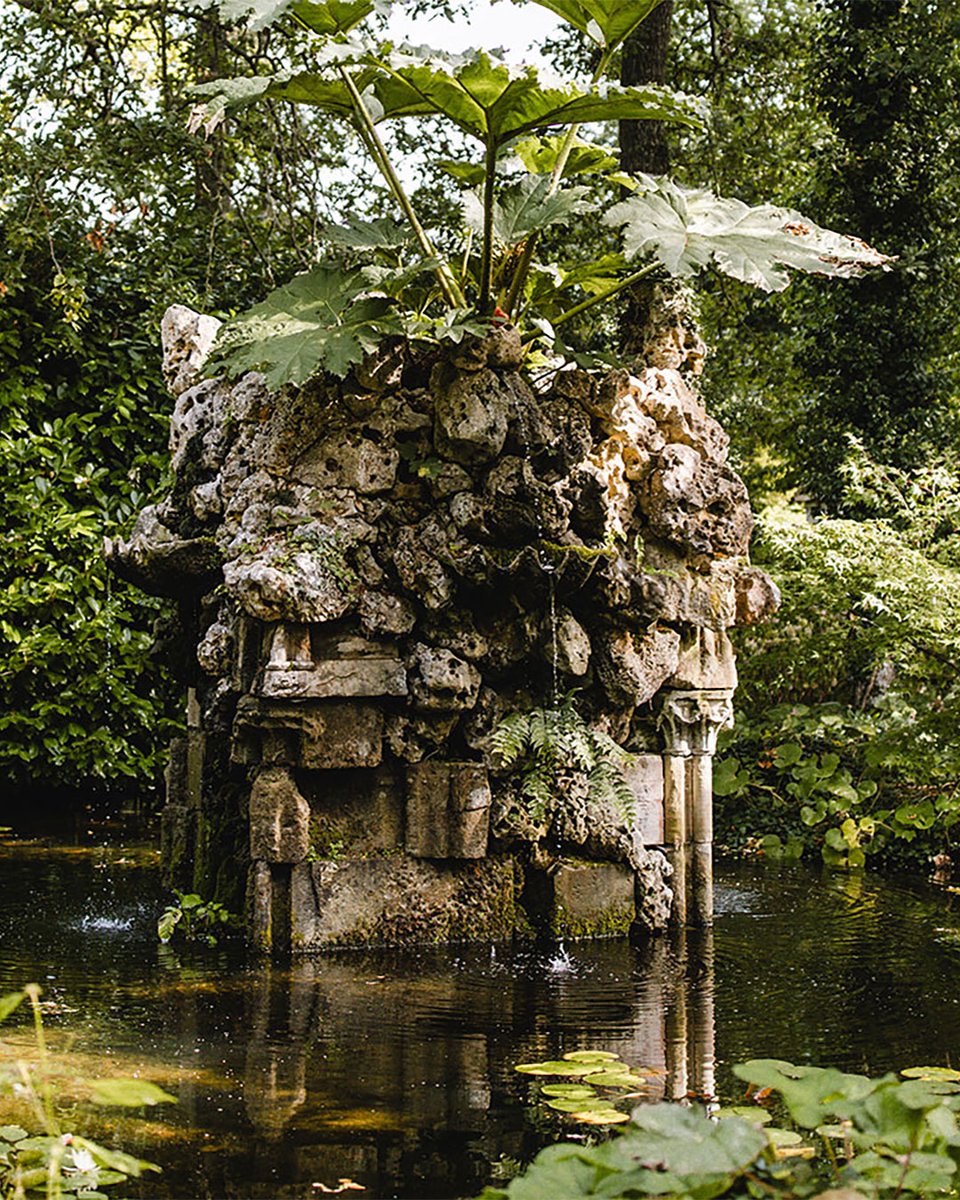 Enjoy a restorative two-hour forest bathing (Shinrin-yoku) experience at Highgrove on Saturday, 26th July. Led by Stefan Batorijs, explore hidden areas of the garden and relax your mind🌲🧘‍♀️

Book now: bit.ly/44xvdB7