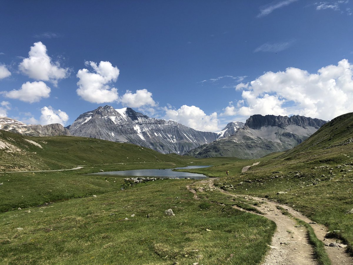 Finally found the signature flower of the Alps today in Vanoise NP