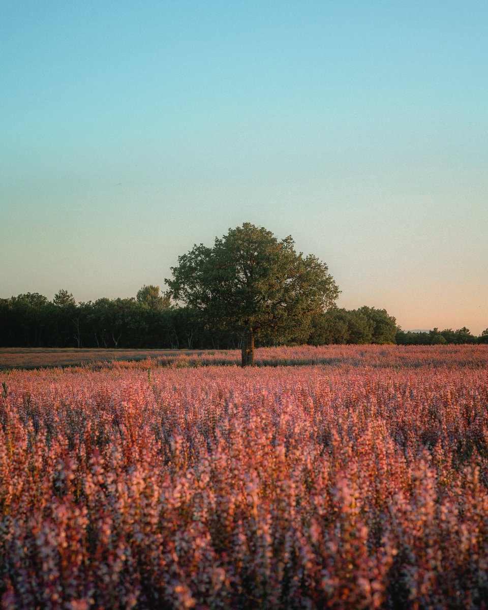 Michael Boegl tweet media