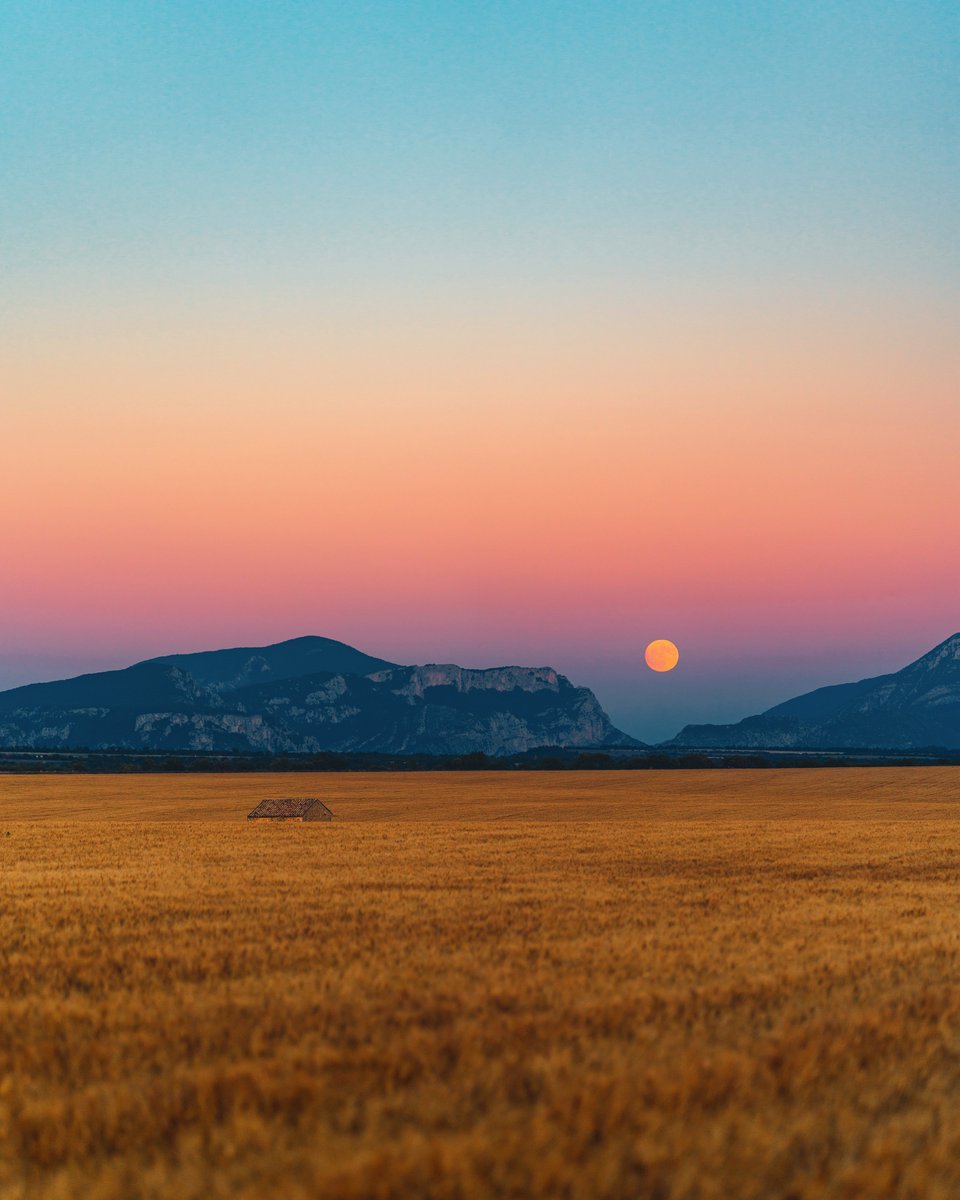 Michael Boegl tweet media