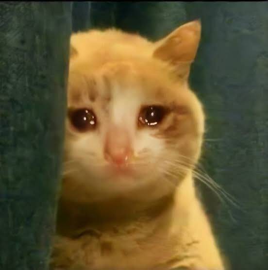 collegemfs's tweet photo. [cm] guyss ada yang tau cara buat daftar tabel, gambar, lampiran otomatis gak sih? atau referensi buat belajar bikinnya?? susah bangett plisss😭😭😭 (pict hanya pemanis) https://t.co/IBt3rsxtfX