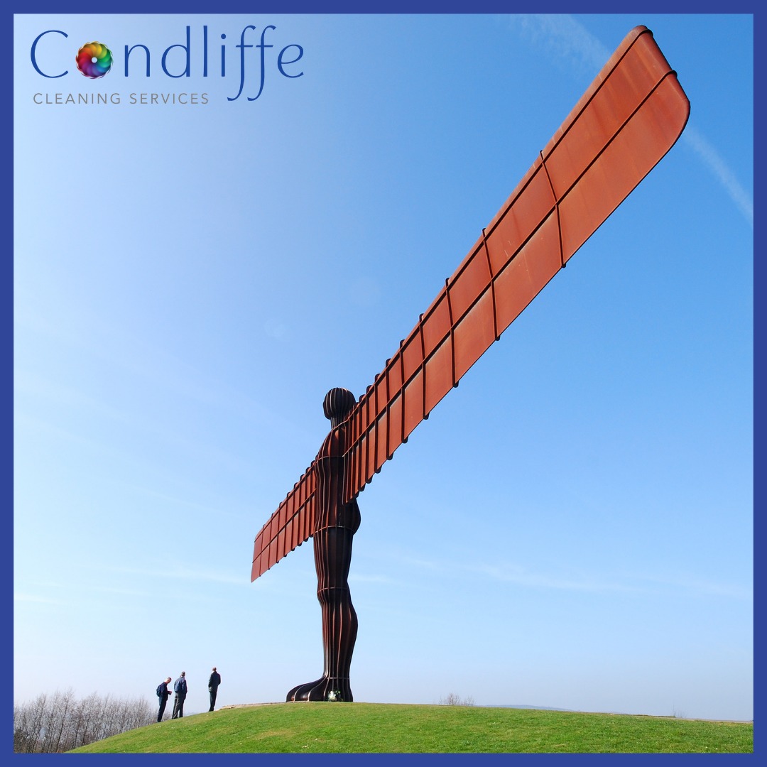 If you run a busy office, retail shop, or industrial site here in the North East, always remember that first impressions count! We can help you with those!

condliffecleaning.co.uk/commercial-cle… #commercialcleaning #northeast #nefollowers