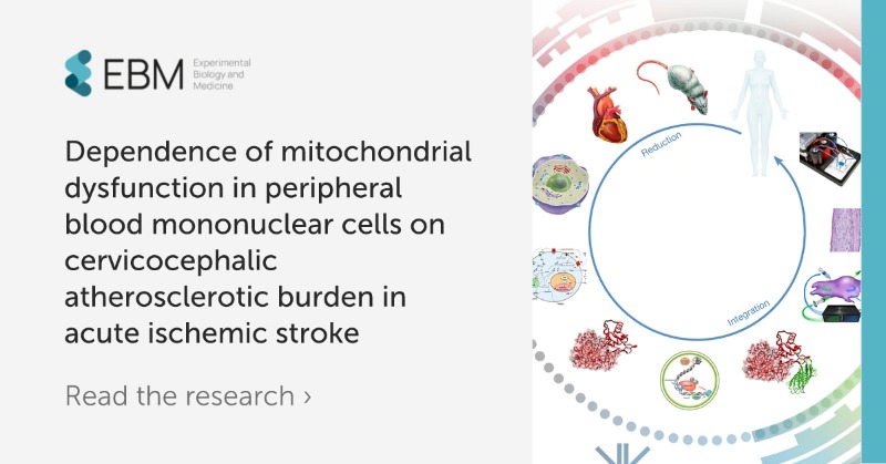 Frontiers Publishing Partnerships (@frontpartners) on Twitter photo Discover how mitochondrial dysfunction in blood cells relates to cervicocephalic atherosclerotic burden in acute ischemic stroke 🧬
Dive into the latest findings in <a href="/ExpBiolMed/">Experimental Biology and Medicine</a> 👉 ebm-journal.org/journals/exper… Discover how mitochondrial dysfunction in blood cells relates to cervicocephalic atherosclerotic burden in acute ischemic stroke 🧬
Dive into the latest findings in <a href="/ExpBiolMed/">Experimental Biology and Medicine</a> 👉 ebm-journal.org/journals/exper…
