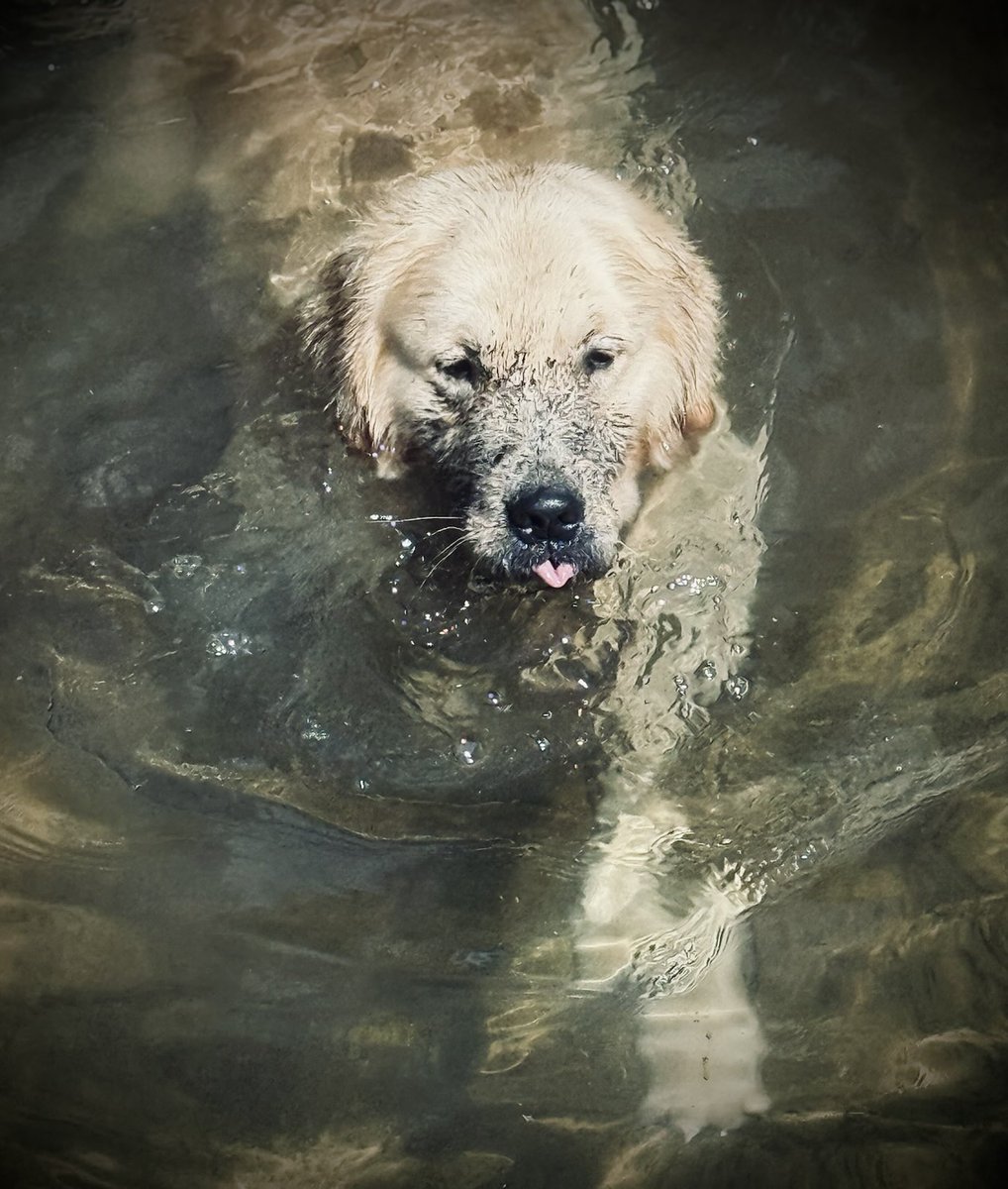 Our boy enjoyin lake livin for the 4th. 🤣