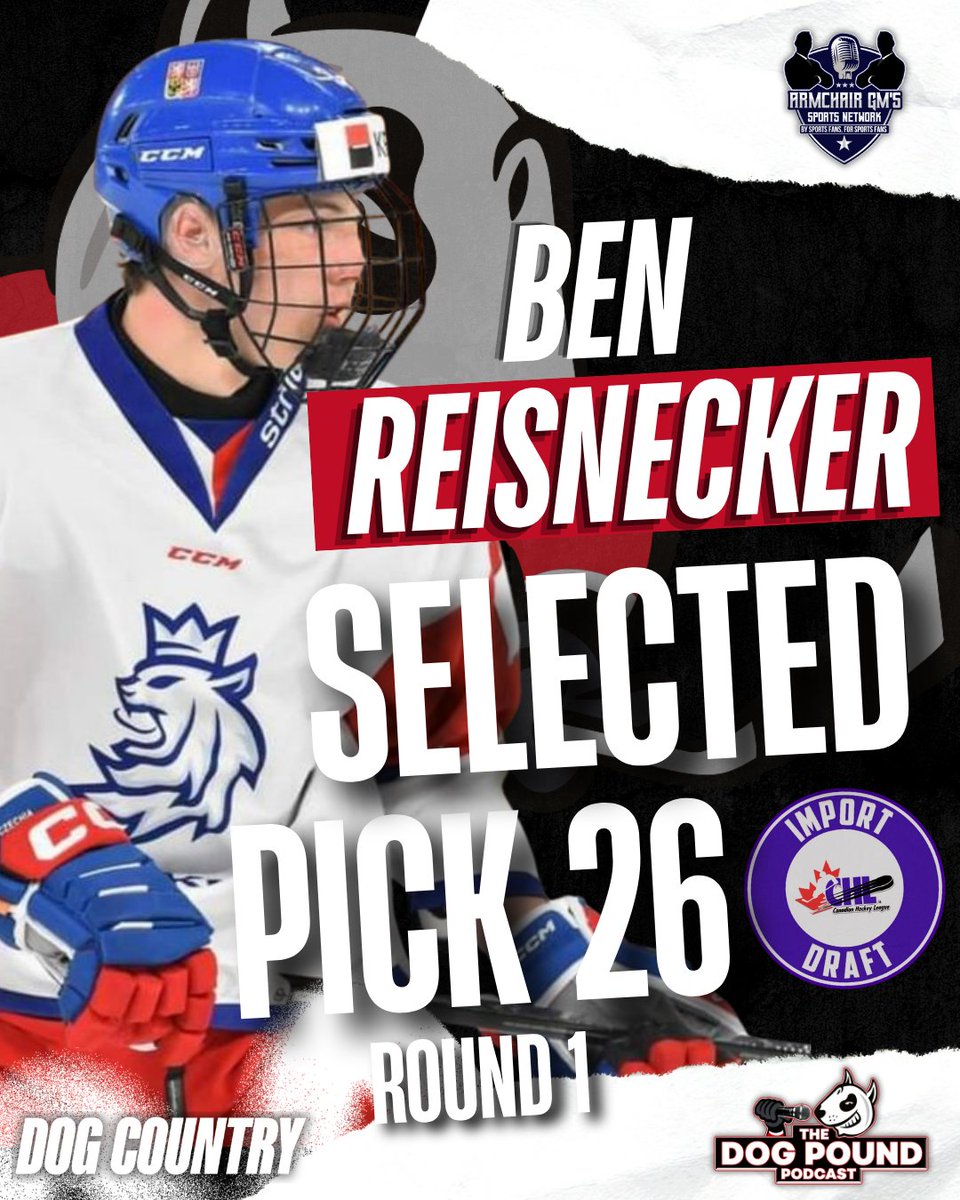 ‼ With the 26th pick in the first round of the 2025 #CHL Import Draft, the Niagara #IceDogs have selected Czechian (German-dual) defenceman Ben Reisnecker.

The 6'3, right-shot, played with HC Sparta U-17 &amp; U-20 last season. 26 points combined.

#DogCountry #CHLImportDraft #OHL