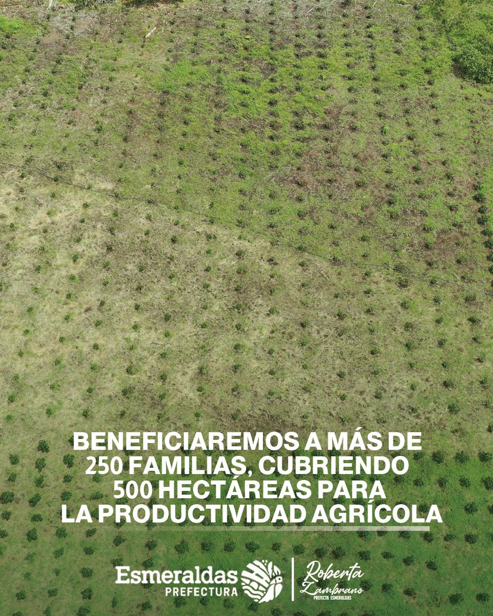 #NoticiasPositivas | ¡Ejecutamos obras de calidad!
Con un avance del 50 % continuamos en la construcción del Sistema de Riego de la comunidad Sandoval.

Esta obra, además de garantizar la distribución del recurso hídrico, genera empleos para los habitantes del cantón #Rioverde.