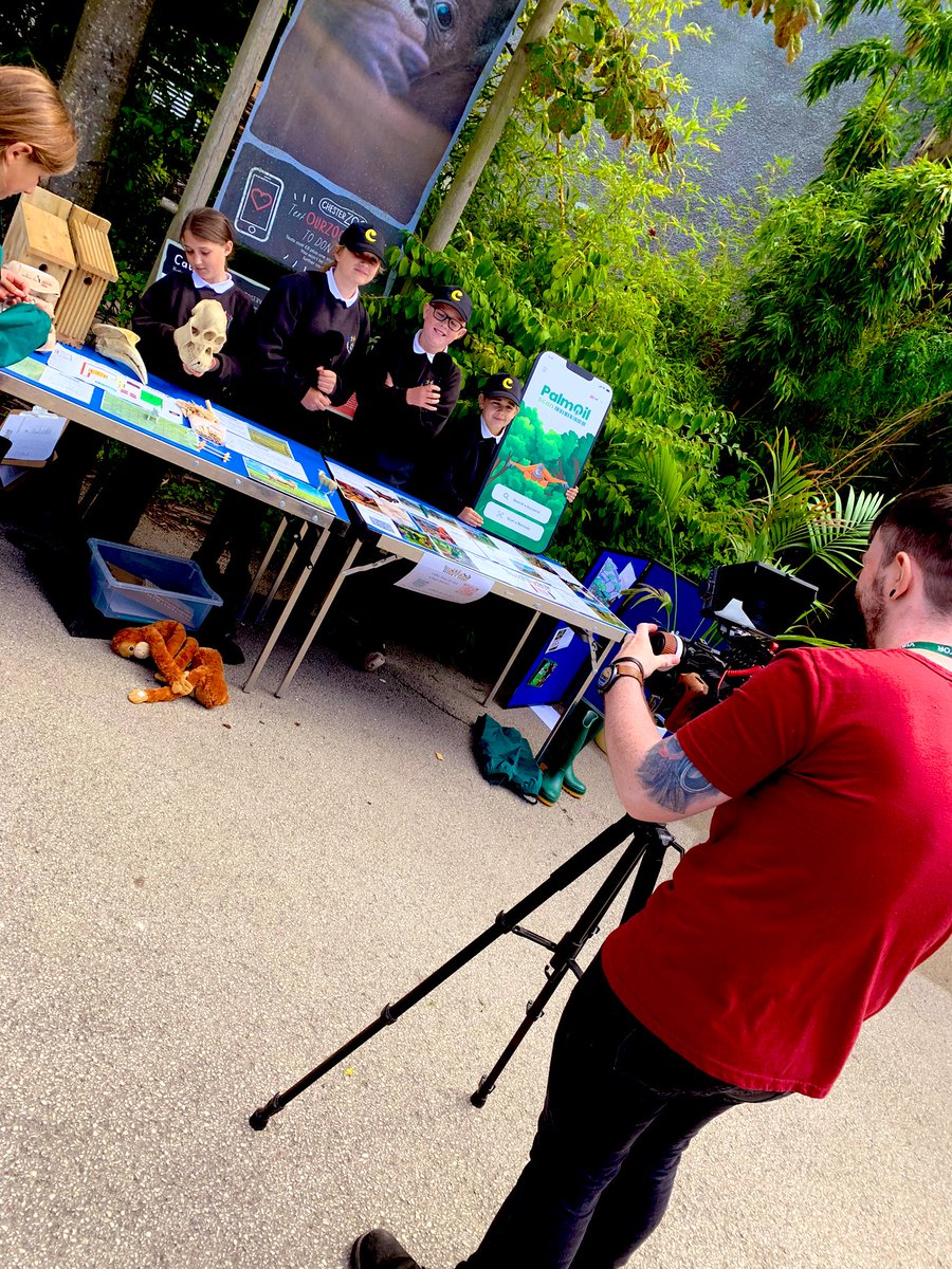 Ysgol Saltney Ferry tweet media