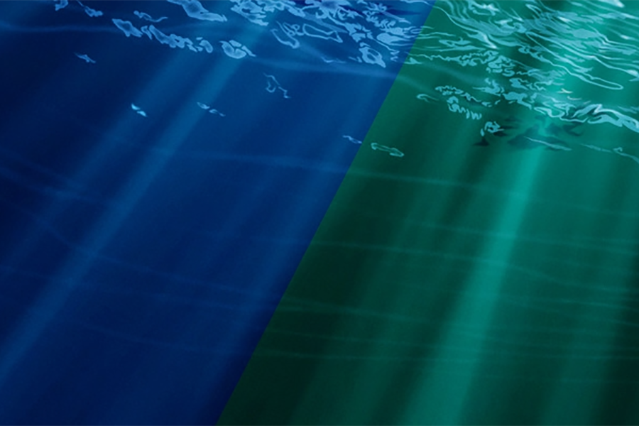 Am I Blue? Green? Something in Between? Some marine photoplankton can adapt to changing light, altering #ocean #ecosystems and, potentially, #carbon storage, finds a study co-authored by MIT CS3 Senior Research Scientist Stephanie Dutkiewicz. ecco-group.org/storymaps.htm?…