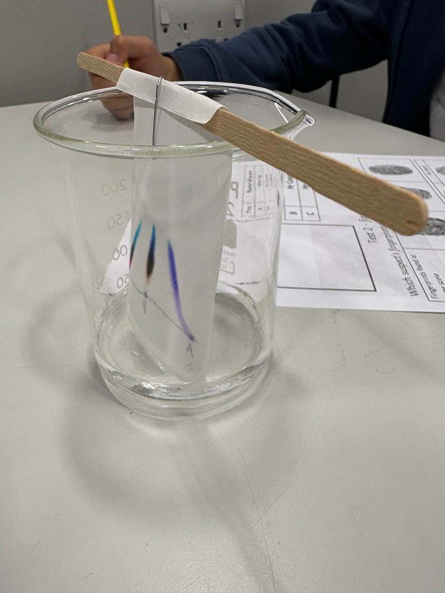 What a fantastic transition day for our Year 6 students! 🎉 They explored the world of Spanish and even cracked the case in science with chromatography! 🕵️‍♂️💡
