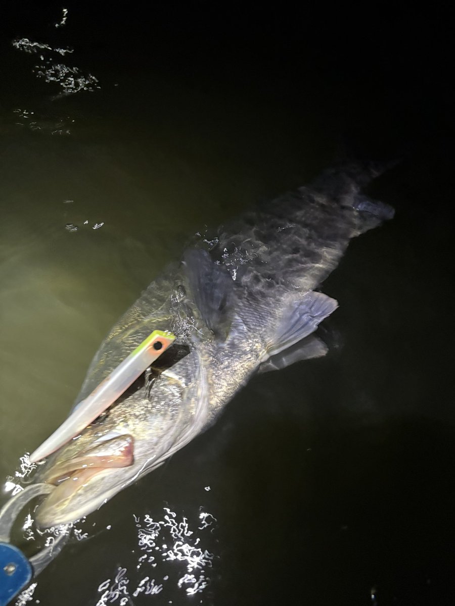 zgVlptzC2LrbsH8's tweet image. 地元ポイントええ感じ
#APIP
#ラムタラ130
#eclipse
#バロール130