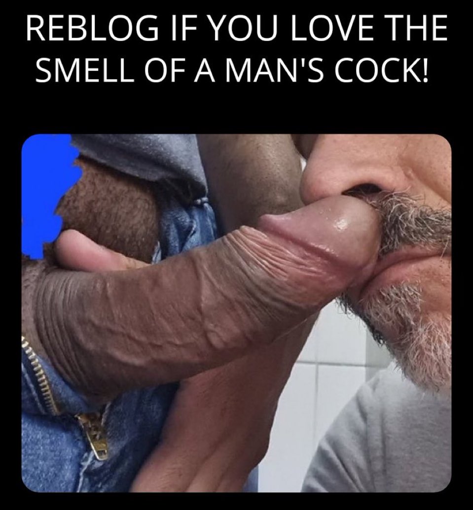 A ver cuántos cerdos me siguen