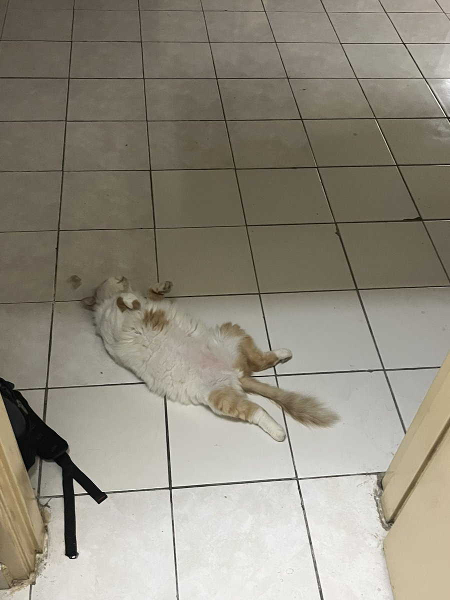 Macam xde tempat lain lah nak terbongkang pon😂