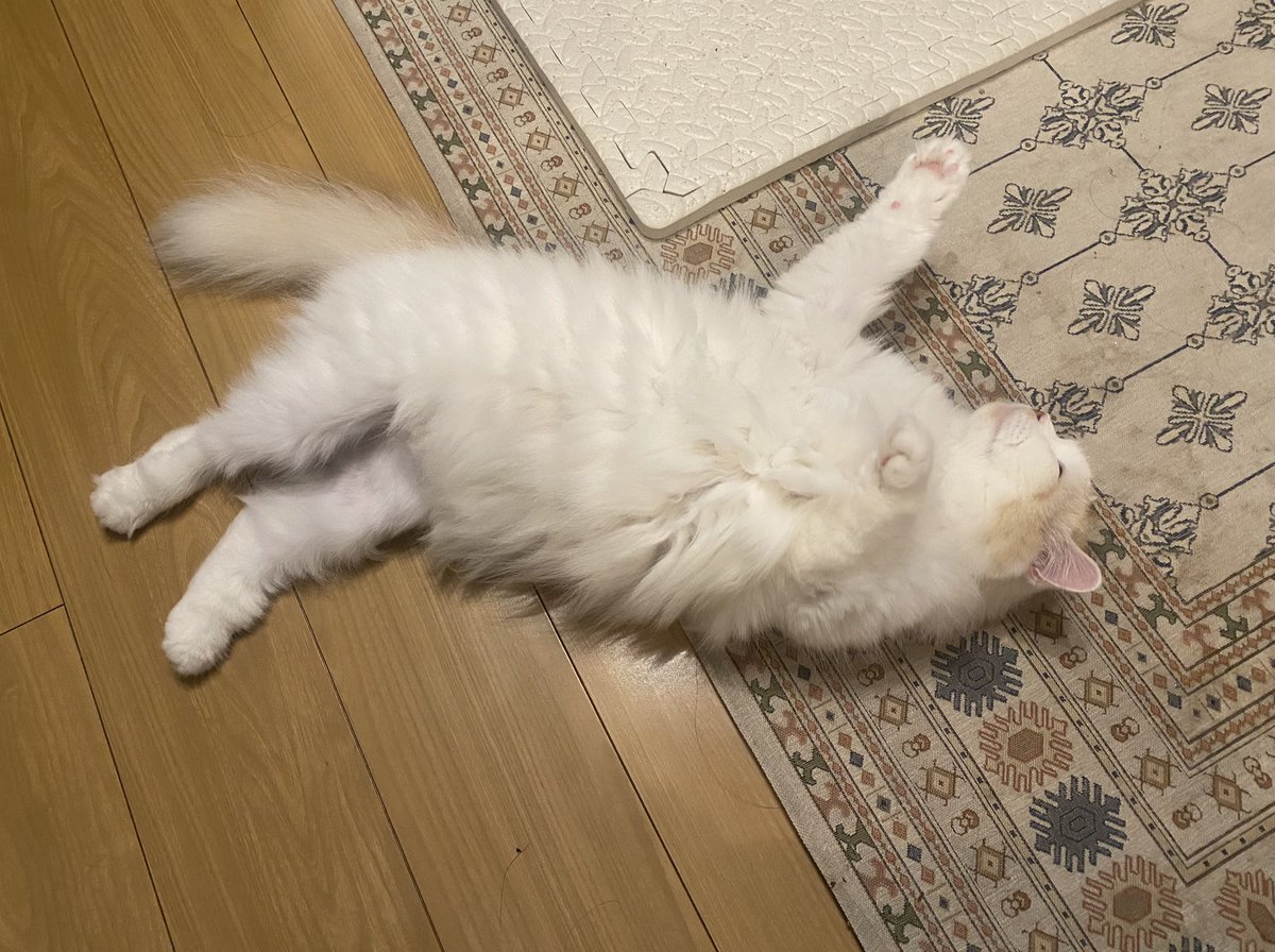 この格好でずっと止まってること
よくある