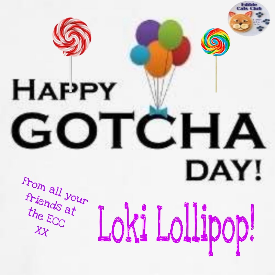 Postman Pappy’& Postman Panfur’s ECC Cards (@eccpostmanpappy) on Twitter photo *Postman Panfur comes in to the PO*
HAPPY GOTCHA DAY TO OUR FRIEND LOKI LOLLIPOP! HAVE A WONDERFUL DAY! 😺😺♥️♥️♥️🍸🍸 <a href="/Helensthoughts1/">LokiLollipop&TakiniTaco</a> <a href="/EdibleCatsClub/">EdibleCatsClub</a> *Postman Panfur comes in to the PO*
HAPPY GOTCHA DAY TO OUR FRIEND LOKI LOLLIPOP! HAVE A WONDERFUL DAY! 😺😺♥️♥️♥️🍸🍸 <a href="/Helensthoughts1/">LokiLollipop&TakiniTaco</a> <a href="/EdibleCatsClub/">EdibleCatsClub</a>