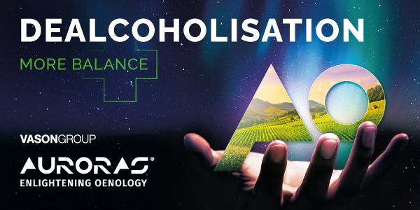 Dealcoholised and partially dealcoholized wines represent an emerging category with great potential.

VASONGROUP offers advanced solutions for the dealcoholisation process. This approach is based on a combination of advanced enological techniques and the use of specific