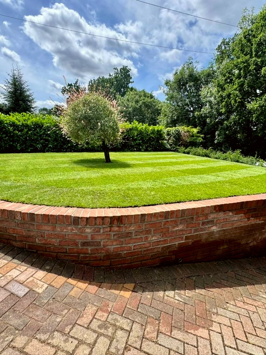 George Davies Turf tweet media